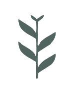 Rocky Mountain Regenerative Medicine logo